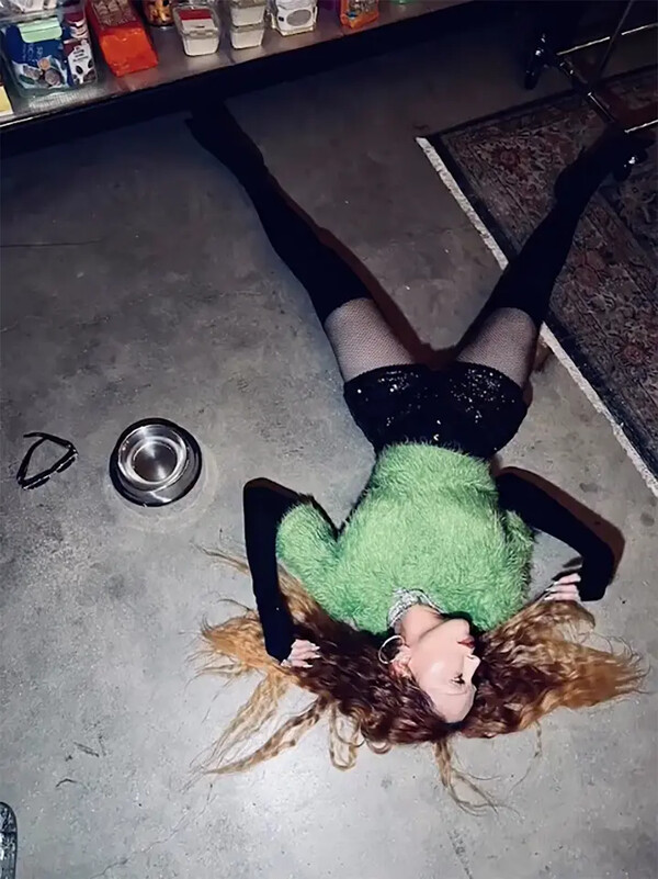 Η Μαντόνα ποζάρει με μπουκάλια τσίλι και γλείφει το μπολ του σκύλου: «Garage Band»