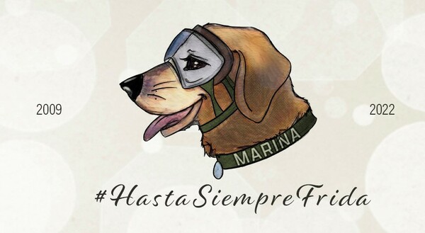 Μεξικό: Πέθανε η Φρίντα, ο σκύλος που έγινε σύμβολο ελπίδας μετά τον φονικό σεισμό