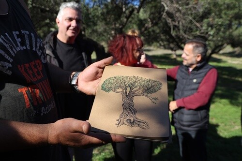 Ωφελούμενοι του ΚΕΘΕΑ μαζεύουν τις ελιές του Δήμου Ηρακλείου