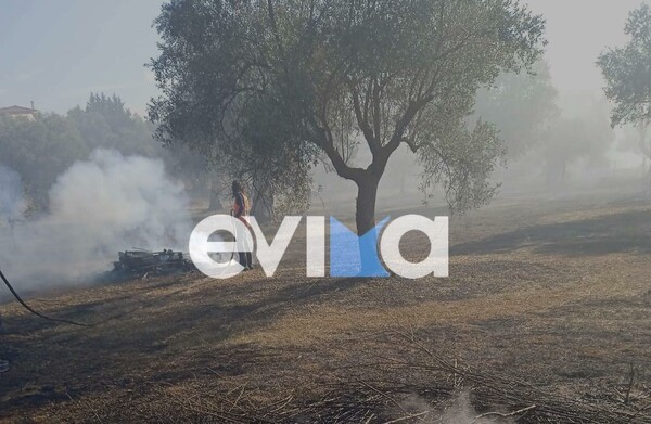 Φωτιά κοντά σε ξενοδοχείο στην Ερέτρια - Συνελήφθη ένας 75χρονος