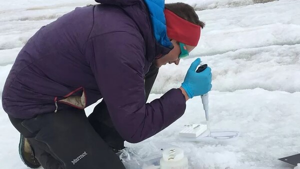 Κλιματική αλλαγή: Παγετώνες που λιώνουν θα μπορούσε να απελευθερώσουν τόνους βακτηρίων