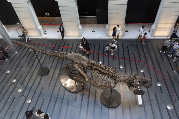 O οίκος Christie’s ακύρωσε τη δημοπρασία σκελετού T-Rex- Προέκυψαν αμφιβολίες