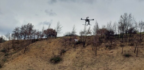 Tεχνική αναδάσωσης μέσω drone-Για πρώτη φορά στην Ελλάδα από το Γεωπονικό Πανεπιστήμιο