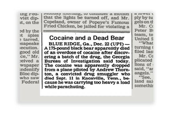Έρχεται το Cocaine Bear με την αρκούδα που πέθανε από υπερβολική δόση ναρκωτικών-Δόθηκε στη δημοσιότητα το τρέιλερ 
