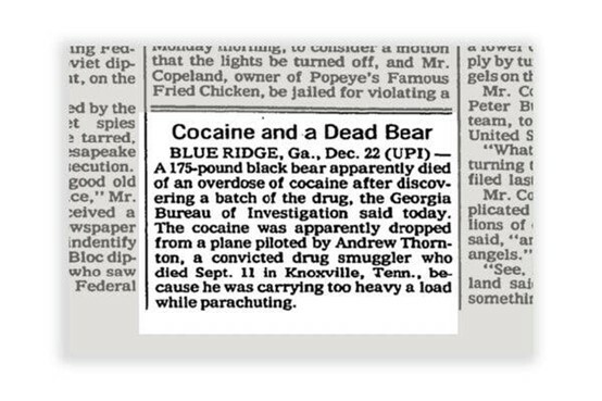 Έρχεται το Cocaine Bear με την αρκούδα που πέθανε από υπερβολική δόση ναρκωτικών-Δόθηκε στη δημοσιότητα το τρέιλερ