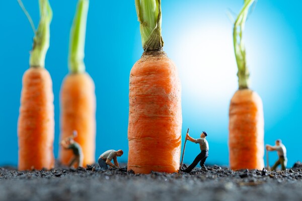 The photographer who puts little people in the frame