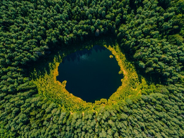 Environmental photographer of the year 2022
