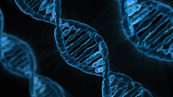 Έρευνα: Τουλάχιστον 155 γονίδια έχουν εμφανιστεί αυθόρμητα στο ανθρώπινο γονιδίωμα