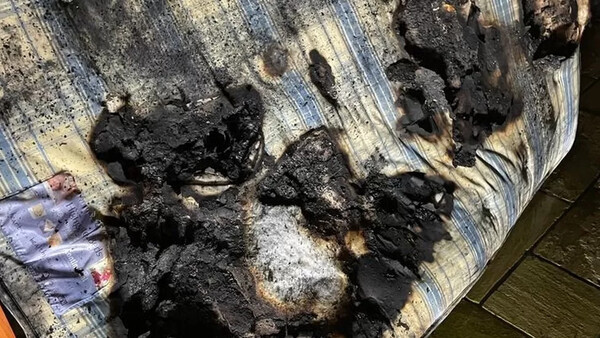 Βρετανία: Σκύλος «εμπρηστής» - Άναψε πιστολάκι μαλλιών σε κρεβάτι και έπιασε φωτιά το σπίτι 