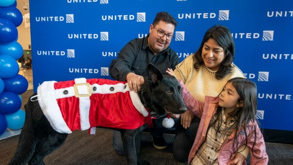 This dog was abandoned at the San Francisco airport. Then a pilot adopted him