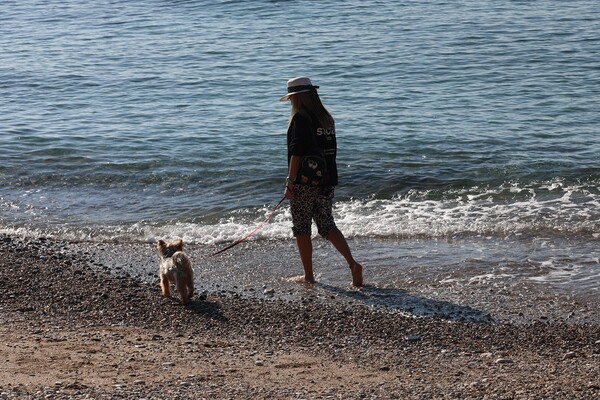 Χριστούγεννα στην παραλία: Εορταστικές βουτιές στη θάλασσα με 20 βαθμούς Κελσίου