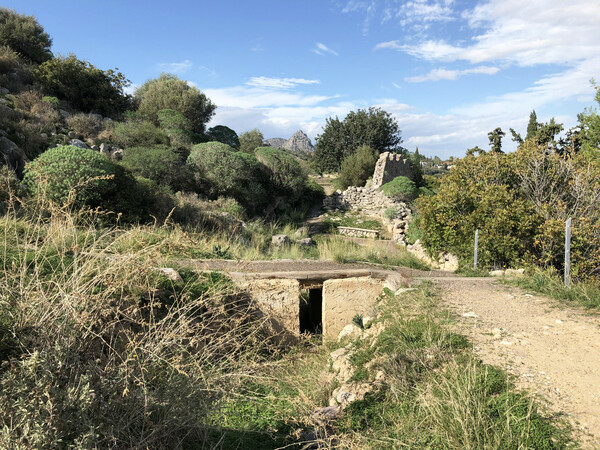 Αρχαία Ασίνη