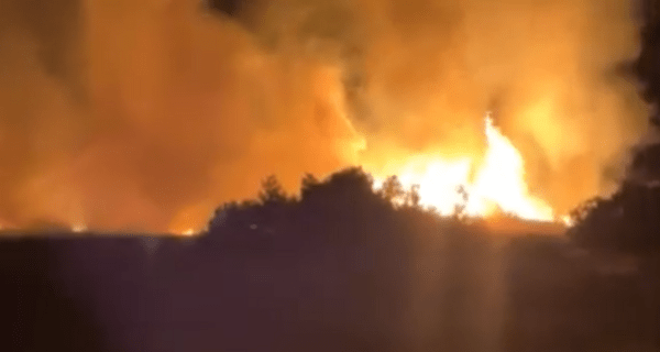 Εύβοια: Φωτιά στα Ψαχνά- Δυνάμεις της Πυροσβεστικής στο σημείο