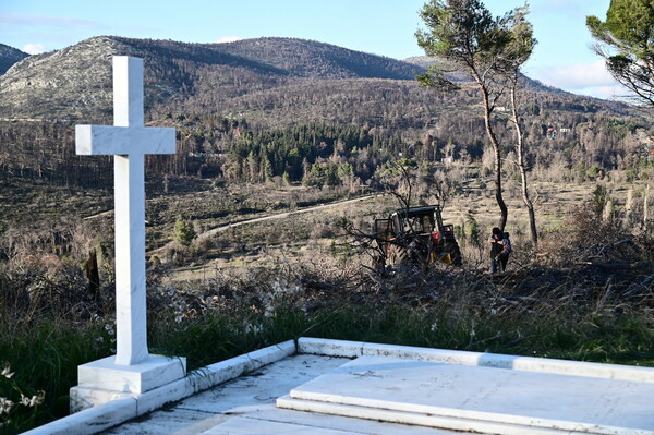 Ποιοι έχουν ταφεί στους βασιλικούς τάφους στο Τατόι-Βασιλείς, βασίλισσες, πρίγκιπες, πριγκίπισσες και ένας Αντιναύαρχος