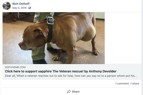 Ρεπουμπλικανός βουλευτής κατηγορείται πως πήρε τα χρήματα που μαζεύτηκαν για άρρωστη σκυλίτσα άστεγου βετεράνου 