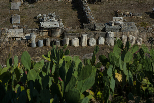 Τα πάντα για την Τελετή Έναρξης