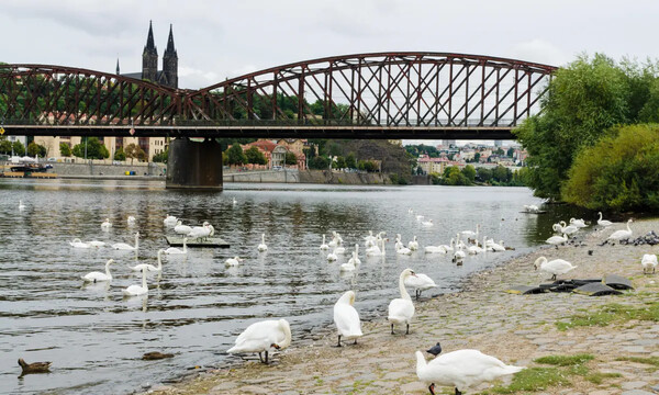Αντιδράσεις για τα σχέδια κατεδάφισης ιστορικής γέφυρας της Πράγας - «Σαν να ρίχνεις τον πύργο του Άιφελ» 