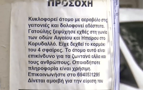 Κορυδαλλός: Ασυνείδητος κακοποιεί αδέσποτα ζώα- Τα πυροβολεί με αεροβόλο