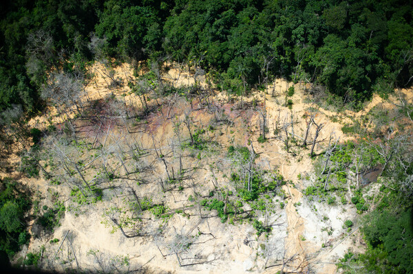 Brazilian army deploys to protect Indigenous Yanomami