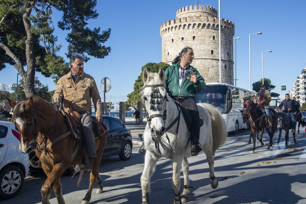 άλογα