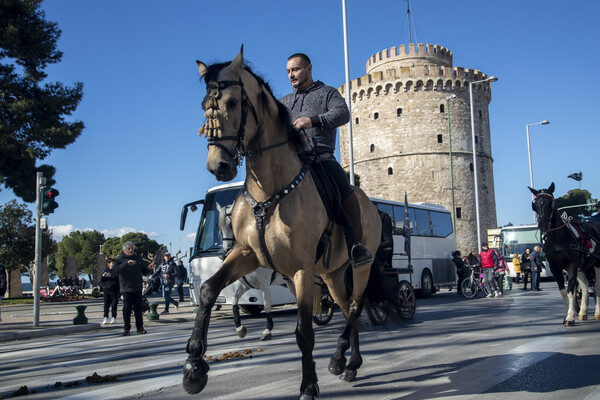 άλογα