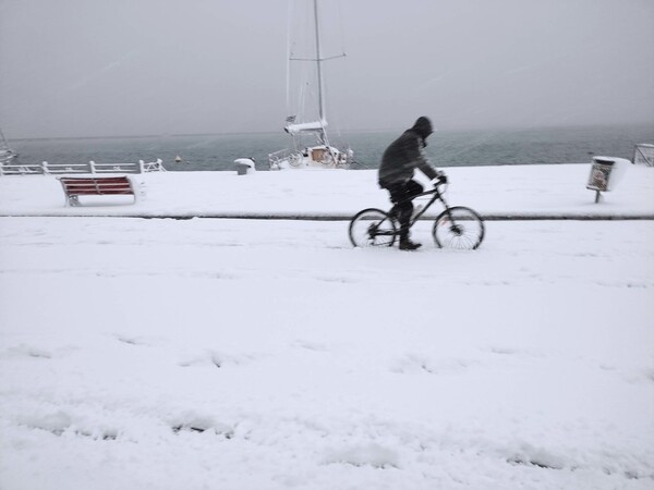 Βόλος: Πάνω από 10 εκ. χιόνι στην παραλία- Με αντιολισθητικές η κίνηση ακόμα και στο κέντρο της πόλης