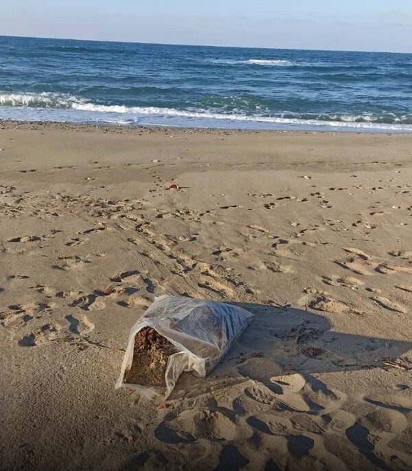 Κάνναβη βάρους 134 κιλών ξεβράστηκε σε παραλία του Ρεθύμνου