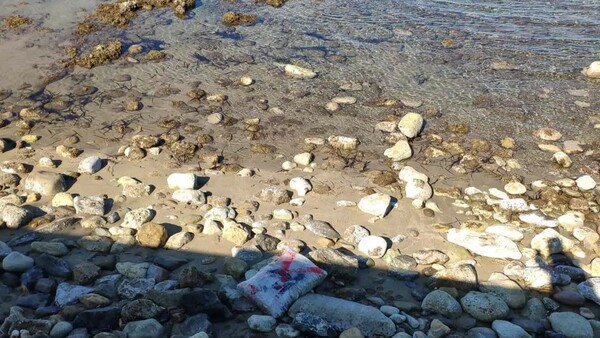 Κρήτη:  Κάνναβη 134 κιλών «ξεβράστηκε» σε παραλία του Ρεθύμνου
