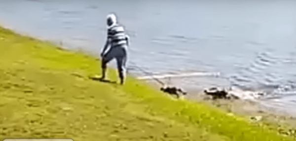 Φλόριντα: Η στιγμή της θανατηφόρας επίθεσης του αλιγάτορα στην 85χρονη 
