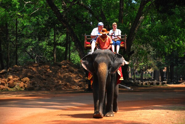 Τι παθαίνουν οι ελέφαντες που κουβαλούν για χρόνια τουρίστες στην πλάτη τους