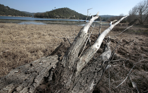 Γαλλία: Λιτανείες για βροχή, έπειτα από 150 χρόνια, λόγω πρωτοφανούς ξηρασίας