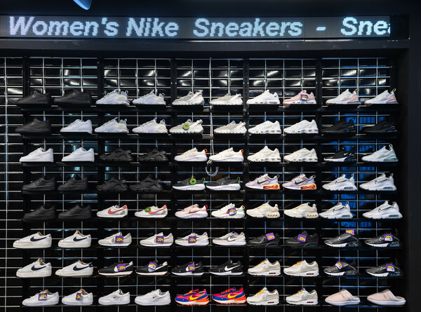 Sneaker10 ERMOU 