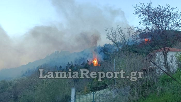 Φθιώτιδα: Μεγάλη φωτά στη Μενδενίτσα – Άνεμοι 6 μποφόρ