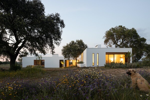 Ένα ειδυλλιακό καταφύγιο στην καρδιά της πορτογαλικής εξοχής