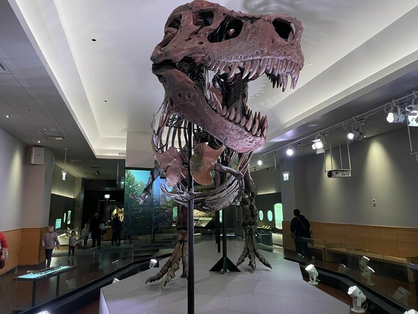 Τα δόντια των Τυραννόσαυρων πιθανότατα δεν προεξείχαν αλλά καλύπτονταν από χείλη