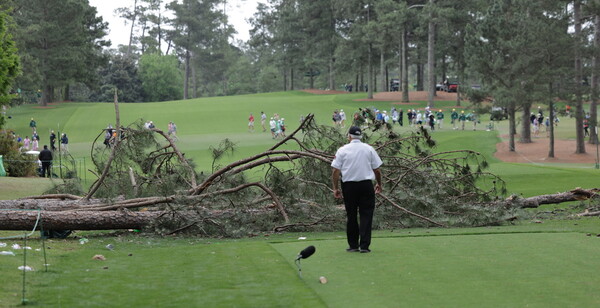 Η στιγμή που 3 πανύψηλα δέντρα πέφτουν προς το μέρος θεατών, σε τουρνουά γκολφ