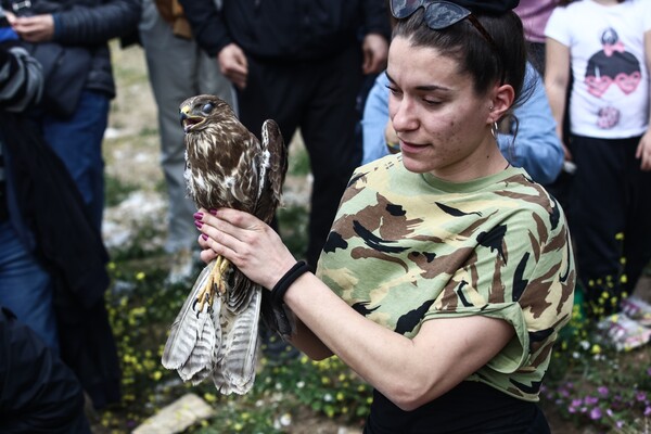 Μέλη της «ANIMA» απελευθέρωσαν άγρια πτηνά στον Υμηττό 