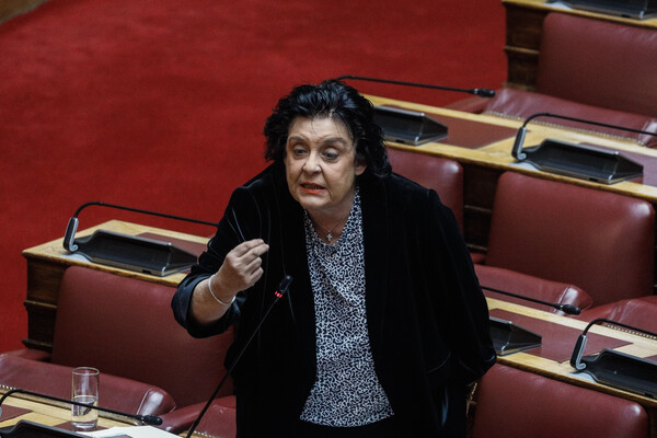 Λιάνα Κανέλλη: Φαντάζεστε να έρθει ο Ηλίας Κασιδιάρης μέσα στην Βουλή και να τον πλακώσω στα χαστούκια;