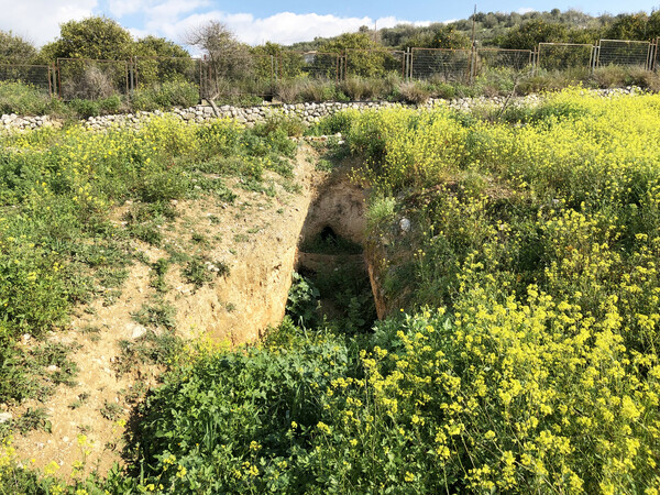 Το μυκηναϊκό νεκροταφείο των Δενδρών