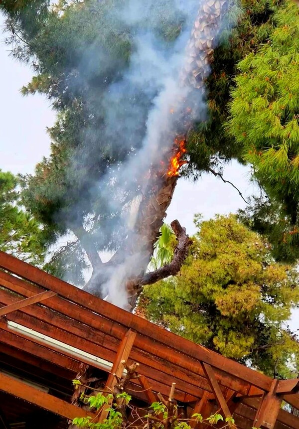 Μαρούσι: Έπεσε κεραυνός και άρπαξε φωτιά δέντρο κοντά σε καφετέρια