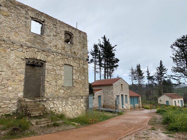 τατοι