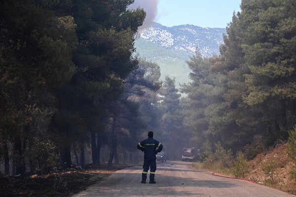 Ξεκινά και επίσημα την Πρωτομαγιά η αντιπυρική περίοδος