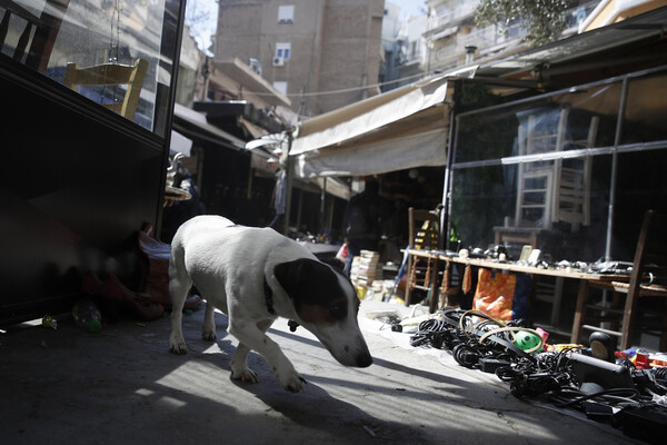 Το Μπιτ Παζάρ αλλάζει όψη – Η ανάπλαση της ιστορικής πλατείας