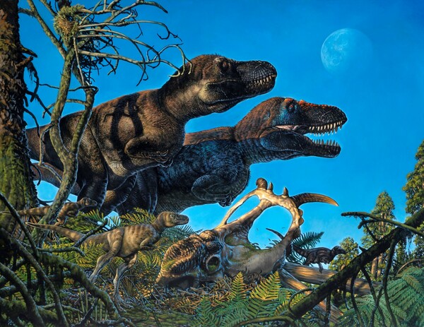 Ανακαλύφθηκε νέο είδος σαρκοφάγου δεινόσαυρου- Μελέτησαν απολιθώματα