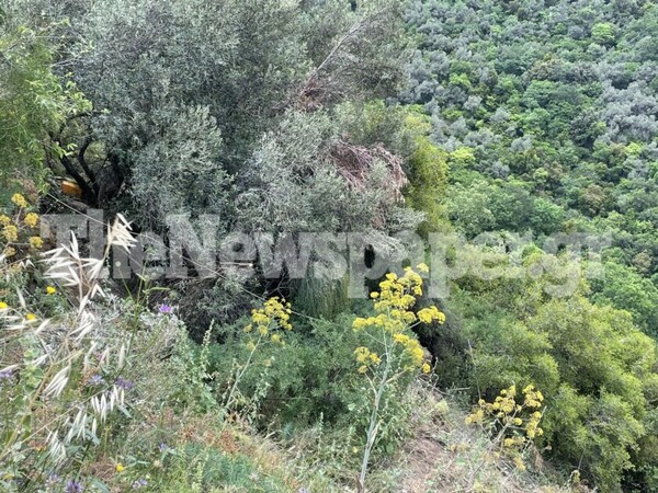 Αυτοκίνητο έπεσε σε γκρεμό στο Πήλιο- Από ύψος 10 μέτρων