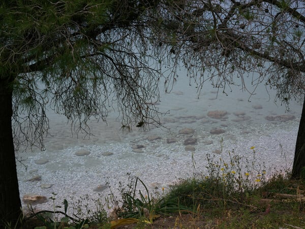 Η μικρή Γιαπωνέζα και άλλες ιστορίες