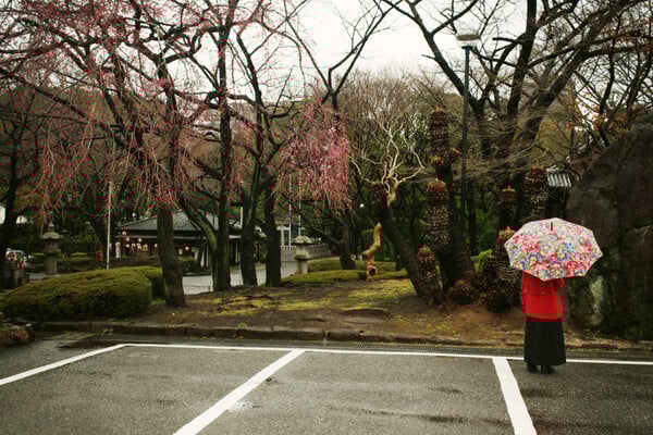 Shin Noguchi
