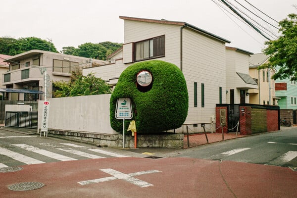Shin Noguchi