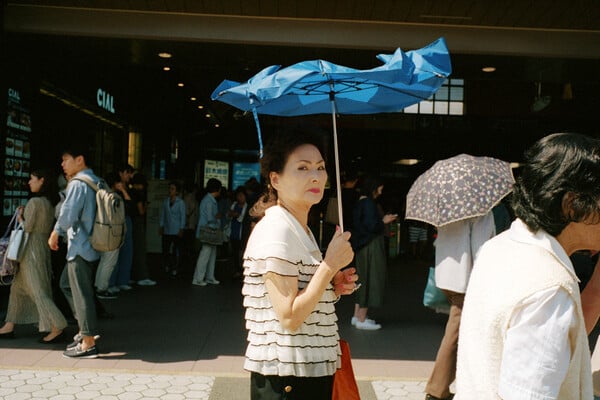 Shin Noguchi