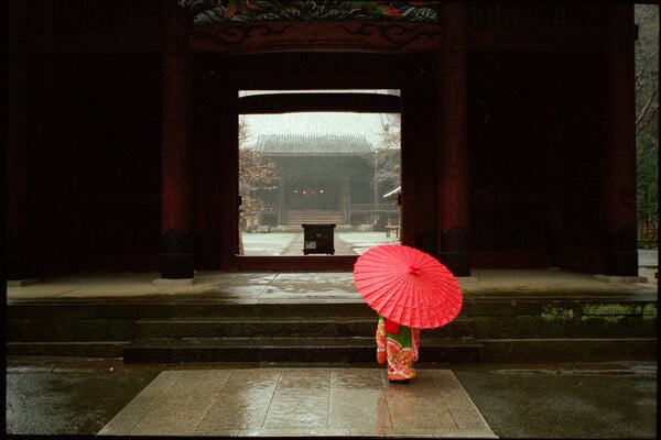 Shin Noguchi